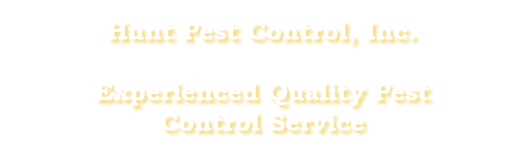 Experienced Quality Pest Control Services